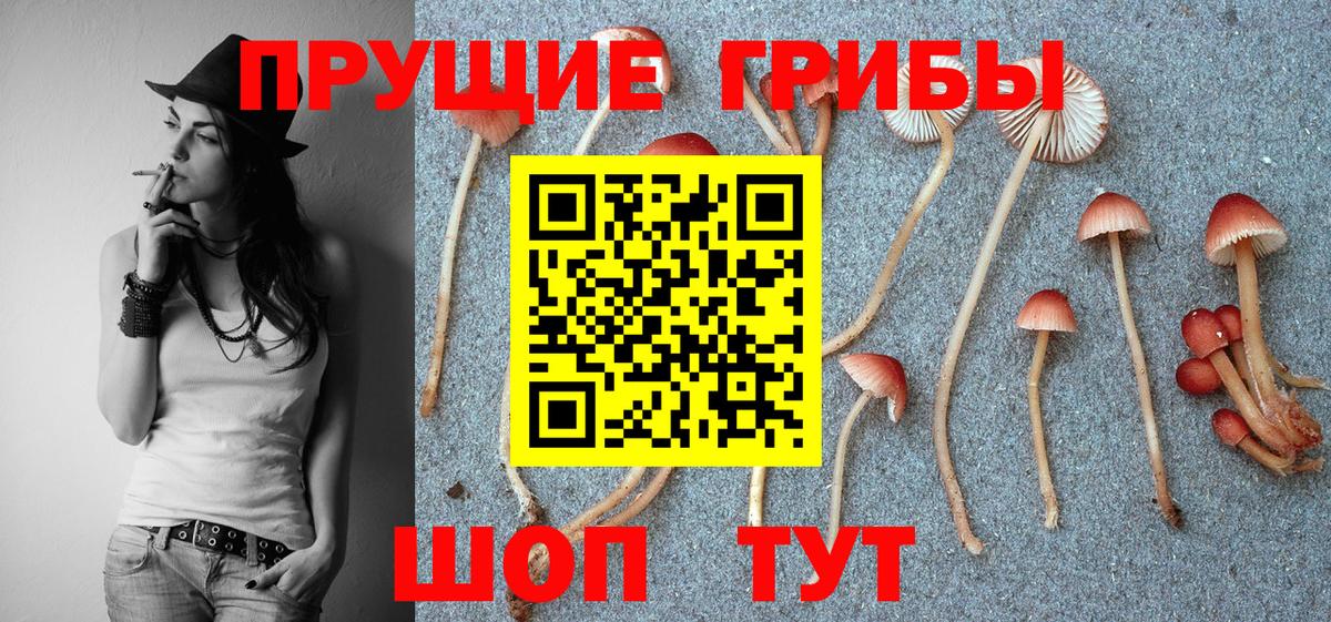 Галлюциногенные грибы мицелий Алапаевск