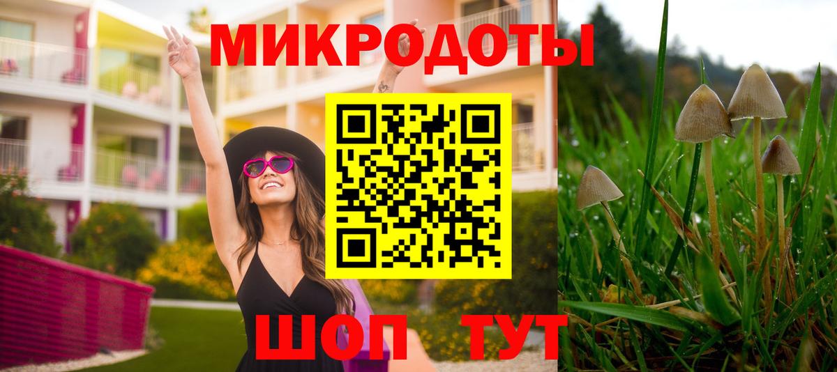 Псилоцибиновые грибы ЛСД  Вход с VPN  Алапаевск  Псилоцибиновые грибы Psilocybine cubensis 