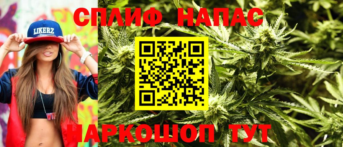 Конопля конопля  Марихуана тримм  Вход с VPN  Алапаевск  Конопля White Widow  МАРИХУАНА план 
