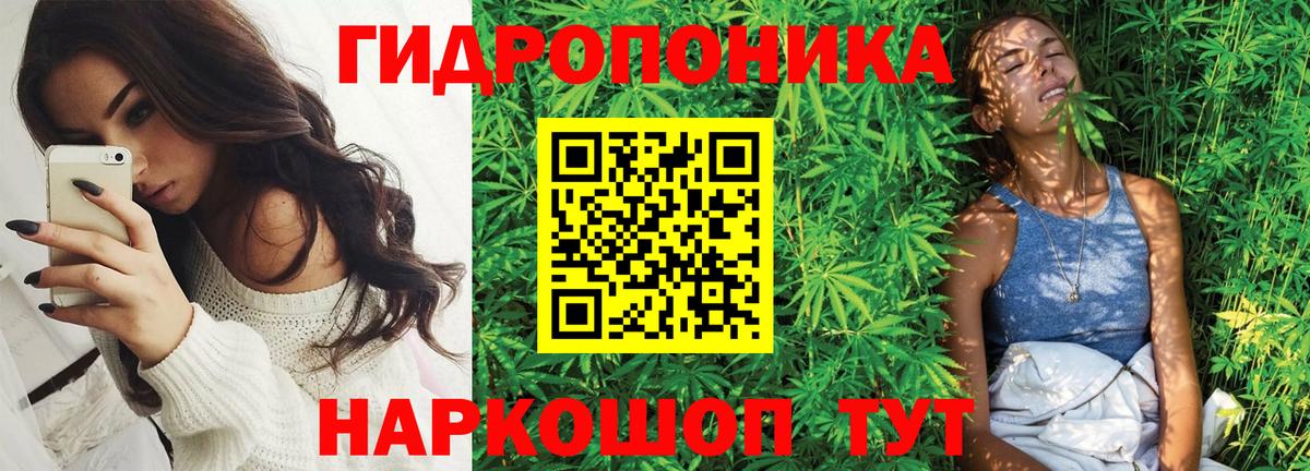 Каннабис ГИДРОПОН Алапаевск